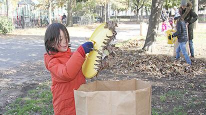 Prospect park clean up project